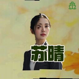 苏晴
